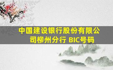 中国建设银行股份有限公司柳州分行 BIC号码